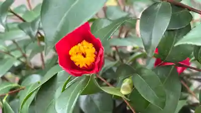 難波神社(大阪府)