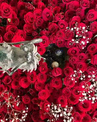 札幌諏訪神社の手水舎