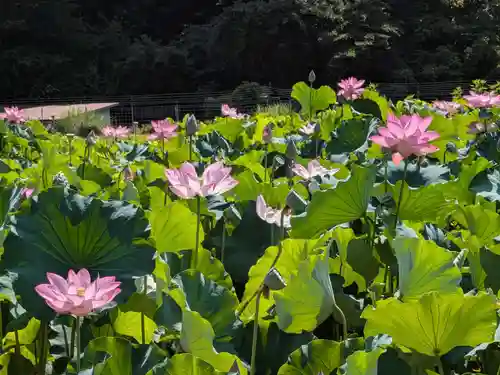 霊泉寺(岐阜県)