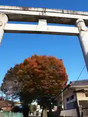 諏訪神社の鳥居