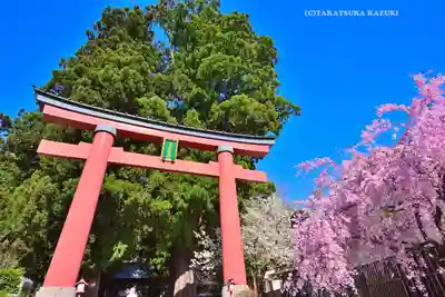 河口浅間神社(山梨県)