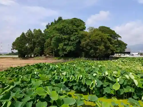 富岡神社の景色