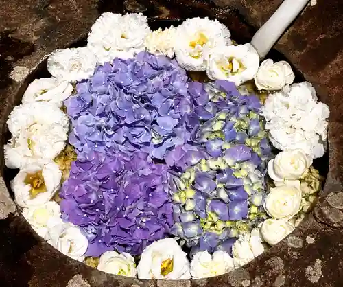 真言宗　善通寺派　薬王寺(香川県)