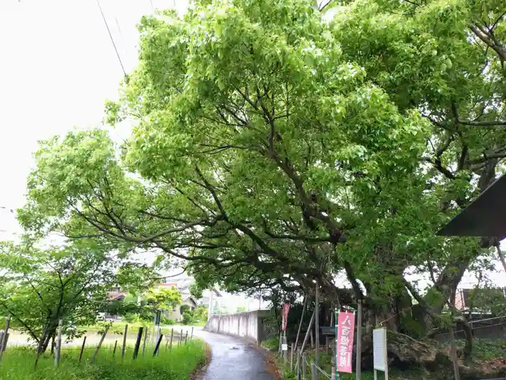 大智院(清水寺大智院)(愛知県)
