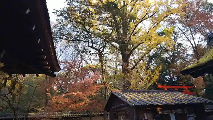 河合神社(鴨川合坐小社宅神社)のその他建物