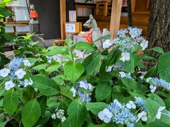 五十稲荷神社(栄寿稲荷神社)(東京都)