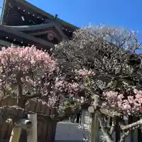 三嶋大社の{uncategorized: "未分類", other: "その他", undefined: "問題あり", building: "その他建物", grave: "お墓", sacred_gate: "鳥居", guardian: "狛犬", statue: "像", buddha: "仏像", history: "歴史", nature: "自然", garden: "庭園", animal: "動物", pagoda: "塔", temizu: "手水舎", mountain_gate: "山門・神門", sanctuary: "本殿・本堂", subordinate: "末社・摂社", art: "芸術", scenery: "景色", jizo: "地蔵", ema: "絵馬", goshuin: "御朱印", omikuji: "おみくじ", items: "授与品その他", amulet: "お守り", goshuincho: "御朱印帳", eats: "食事", festival: "お祭り", votive_dance: "神楽", shichigosan: "七五三参", wedding: "結婚式", experience: "体験その他", initially: "初詣", around: "周辺", anti_infection: "感染症対策"}