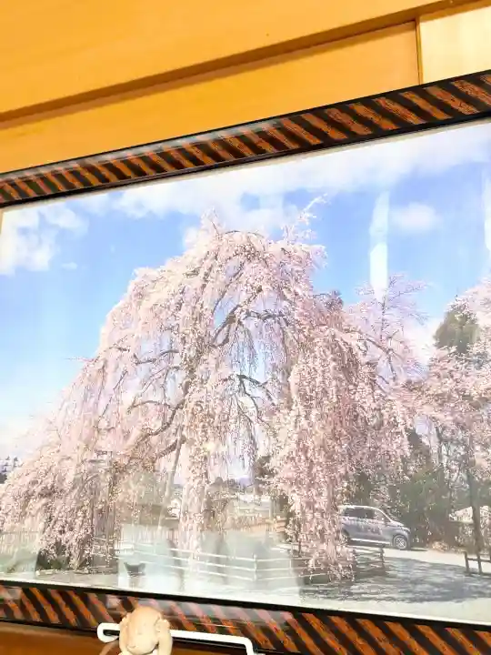 身照寺の{uncategorized: "未分類", other: "その他", undefined: "問題あり", building: "その他建物", grave: "お墓", sacred_gate: "鳥居", guardian: "狛犬", statue: "像", buddha: "仏像", history: "歴史", nature: "自然", garden: "庭園", animal: "動物", pagoda: "塔", temizu: "手水舎", mountain_gate: "山門・神門", sanctuary: "本殿・本堂", subordinate: "末社・摂社", art: "芸術", scenery: "景色", jizo: "地蔵", ema: "絵馬", goshuin: "御朱印", omikuji: "おみくじ", items: "授与品その他", amulet: "お守り", goshuincho: "御朱印帳", eats: "食事", festival: "お祭り", votive_dance: "神楽", shichigosan: "七五三参", wedding: "結婚式", experience: "体験その他", initially: "初詣", around: "周辺", anti_infection: "感染症対策"}