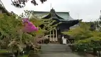 桜神宮の本殿・本堂