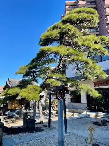 瑞光寺の{uncategorized: "未分類", other: "その他", undefined: "問題あり", building: "その他建物", grave: "お墓", sacred_gate: "鳥居", guardian: "狛犬", statue: "像", buddha: "仏像", history: "歴史", nature: "自然", garden: "庭園", animal: "動物", pagoda: "塔", temizu: "手水舎", mountain_gate: "山門・神門", sanctuary: "本殿・本堂", subordinate: "末社・摂社", art: "芸術", scenery: "景色", jizo: "地蔵", ema: "絵馬", goshuin: "御朱印", omikuji: "おみくじ", items: "授与品その他", amulet: "お守り", goshuincho: "御朱印帳", eats: "食事", festival: "お祭り", votive_dance: "神楽", shichigosan: "七五三参", wedding: "結婚式", experience: "体験その他", initially: "初詣", around: "周辺", anti_infection: "感染症対策"}