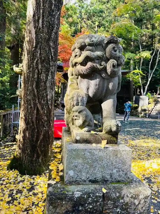 宝登山神社(埼玉県)
