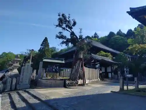 東大寺 二月堂(奈良県)