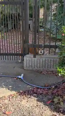 西福寺(大阪府)