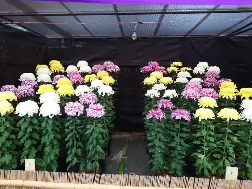 宗像大社(福岡県)