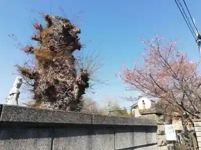 中峠弥陀堂（中峠阿弥陀堂）のその他建物