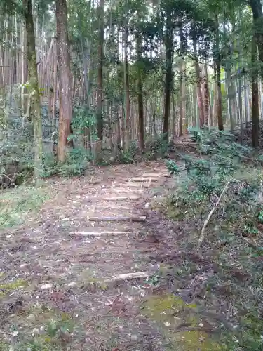 上一宮大粟神社の自然