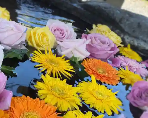 津島神社の手水舎