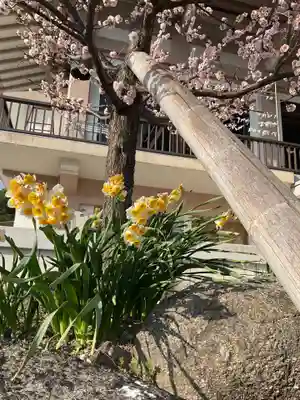 正眼寺(愛知県)