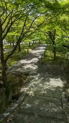  智積院(京都府)