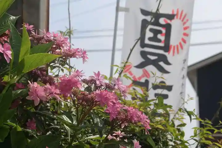 豊景神社の庭園