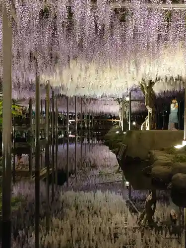 津島神社の周辺