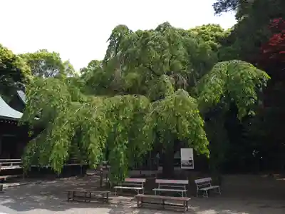 常陸第三宮 吉田神社(茨城県)