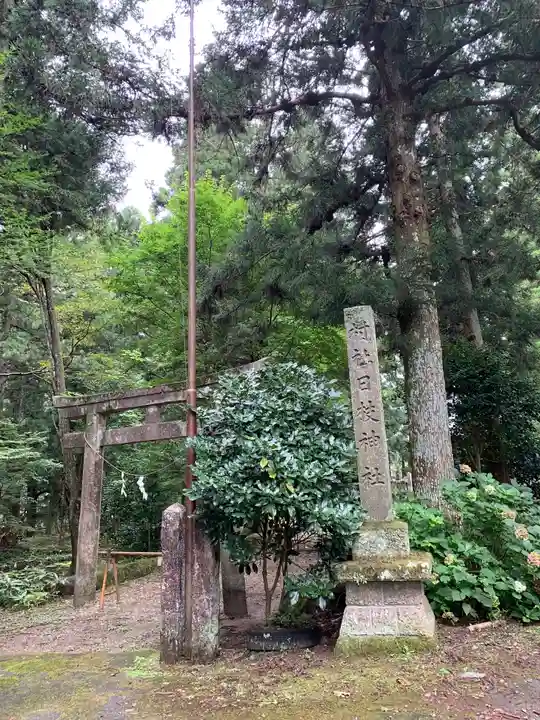 日枝神社の鳥居