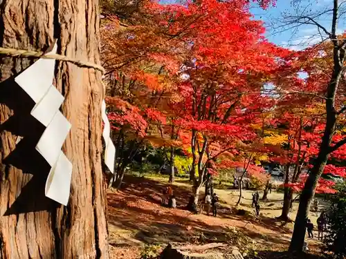 土津神社｜こどもと出世の神さまの景色