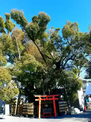 富知六所浅間神社の末社