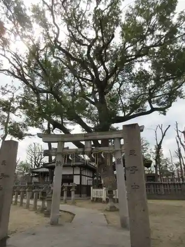 鴨高田神社の鳥居