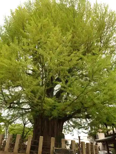 飛騨国分寺のその他建物