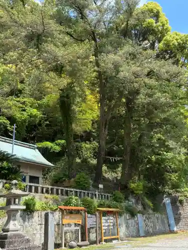 土肥神社の{uncategorized: "未分類", other: "その他", undefined: "問題あり", building: "その他建物", grave: "お墓", sacred_gate: "鳥居", guardian: "狛犬", statue: "像", buddha: "仏像", history: "歴史", nature: "自然", garden: "庭園", animal: "動物", pagoda: "塔", temizu: "手水舎", mountain_gate: "山門・神門", sanctuary: "本殿・本堂", subordinate: "末社・摂社", art: "芸術", scenery: "景色", jizo: "地蔵", ema: "絵馬", goshuin: "御朱印", omikuji: "おみくじ", items: "授与品その他", amulet: "お守り", goshuincho: "御朱印帳", eats: "食事", festival: "お祭り", votive_dance: "神楽", shichigosan: "七五三参", wedding: "結婚式", experience: "体験その他", initially: "初詣", around: "周辺", anti_infection: "感染症対策"}