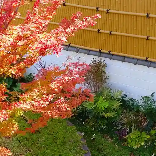 寿量山　速成寺の庭園