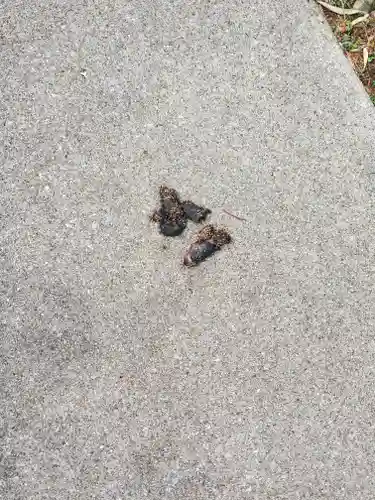 本願寺(栃木県)