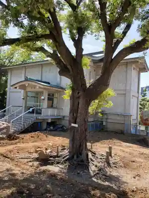 富岡八幡宮(東京都)