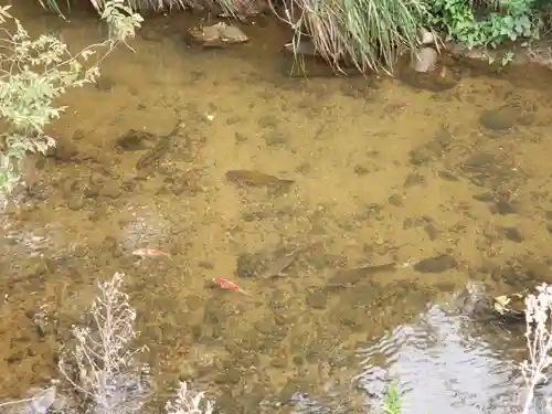 上堂神社(石川県)