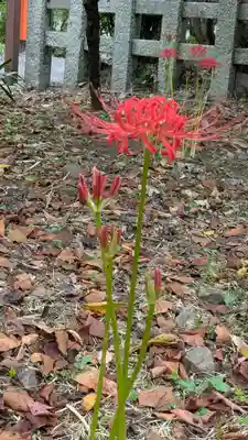平野神社(京都府)