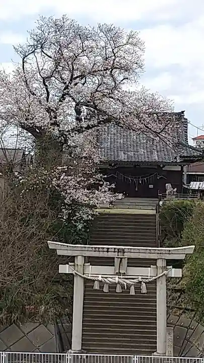 愛宕神社(茨城県)