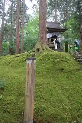 平泉寺白山神社(福井県)