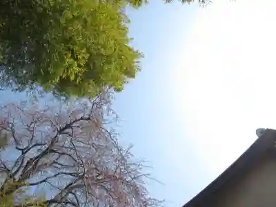 真光寺(千葉県)