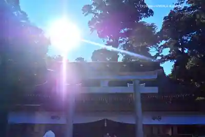 鹿島神宮(茨城県)