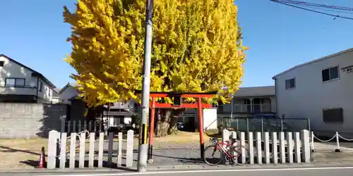 八大龍王辨財天(京都府)