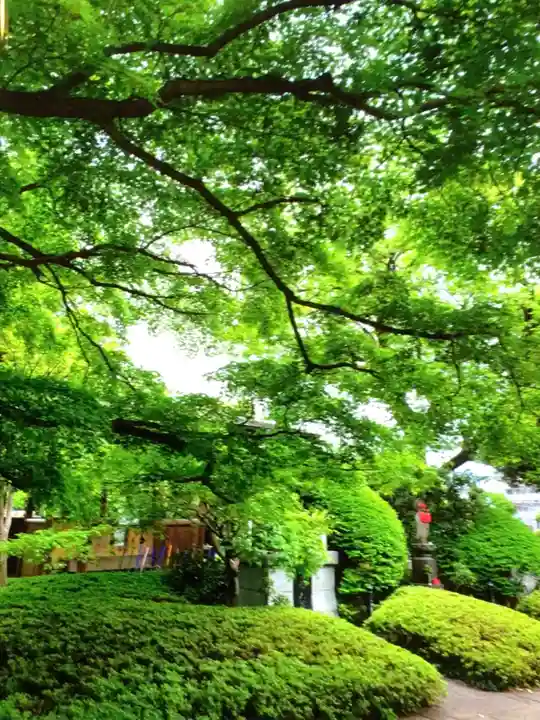 福蔵院(東京都)