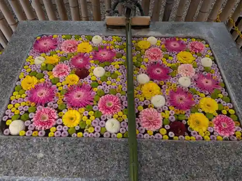 高円寺氷川神社(東京都)