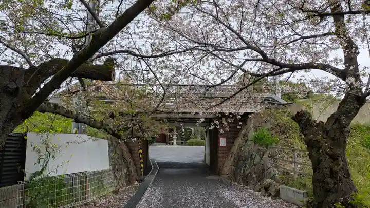 圓藏院(円蔵院)(京都府)
