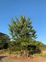 常應寺(千葉県)