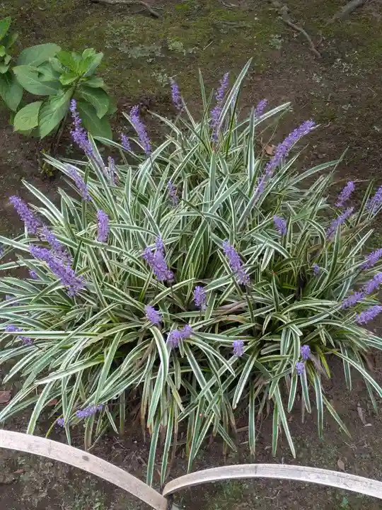 中道院(東京都)