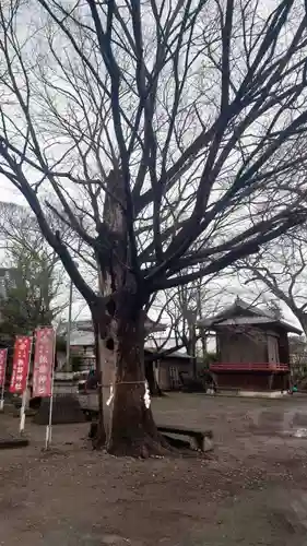 新町諏訪神社(群馬県)