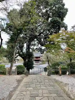 喜多院(埼玉県)