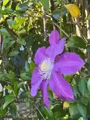 岡部春日神社～👹鬼門よけの🌺花咲く🌺やしろ～(福島県)